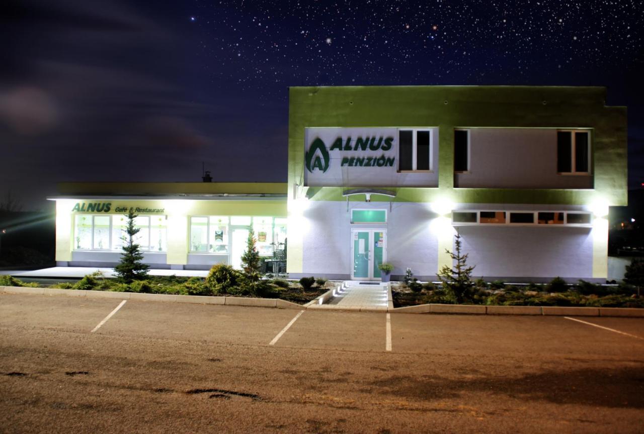 Alnus Penzion Smilno Bagian luar foto